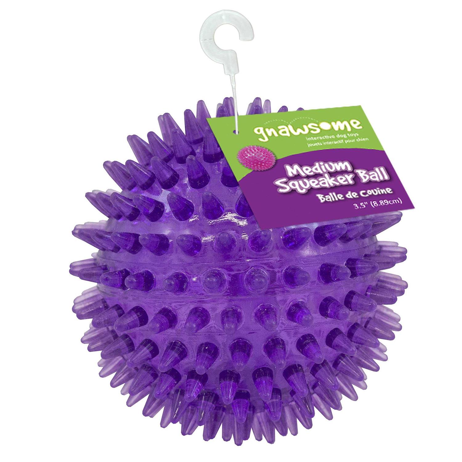 Gnawsome Squeaker Ball Dog Toy - Pet Supplies online store