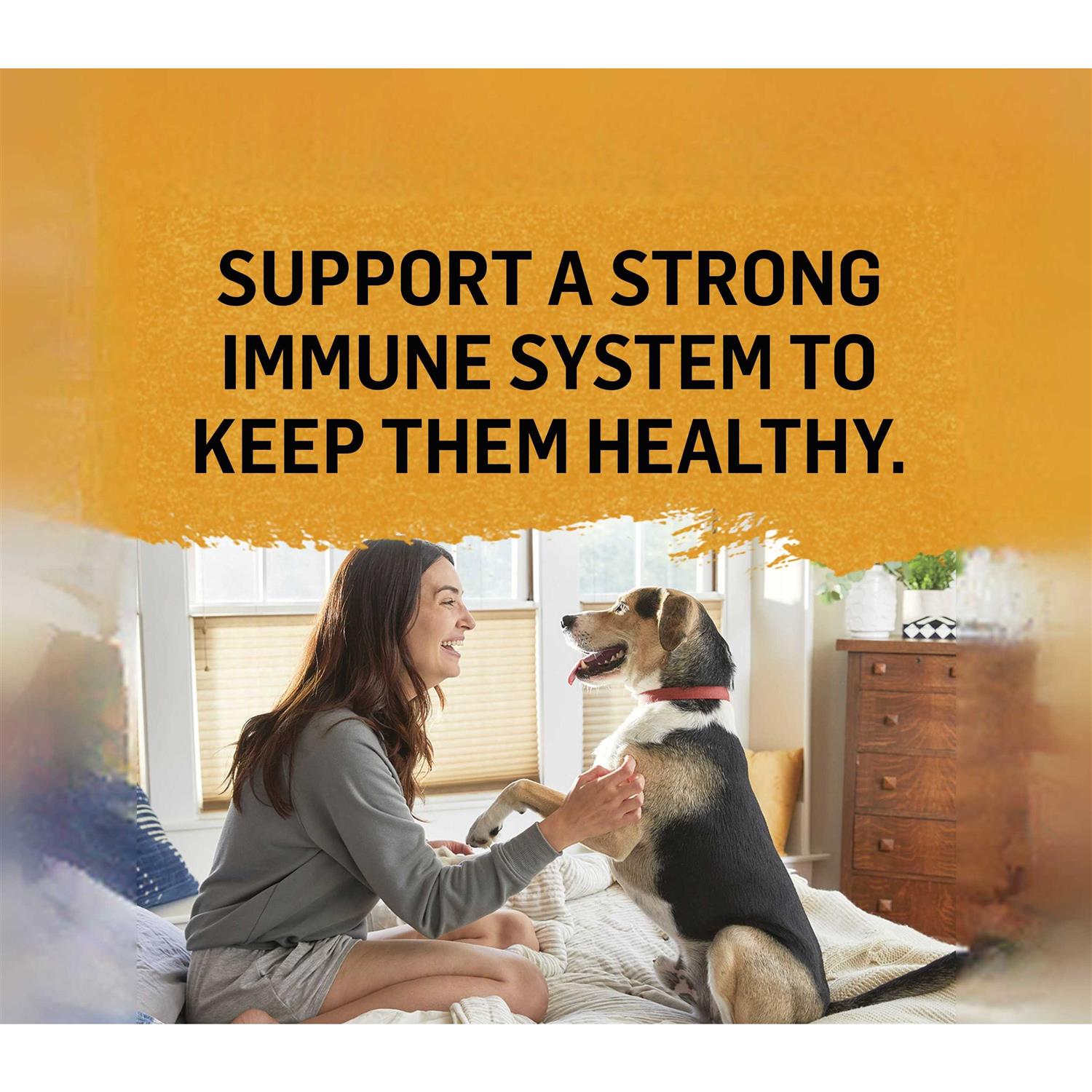 Purina Beyond Wet Cat Food Natural Chicken Bone Broth - Pet Supplies online store