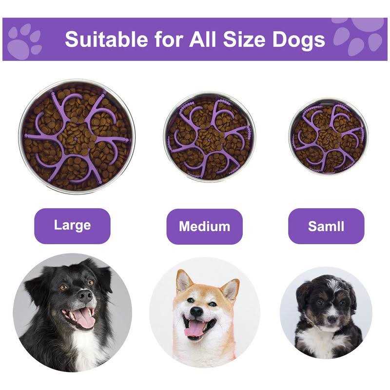 Anipaw Dog Slow Feeder Dog Bowls Silicone Spiral Dog Food Bowls Feeder Insert to Slow Down Eating for Large Medium Small Breed Dogs Perfect - Pet Supplies online store