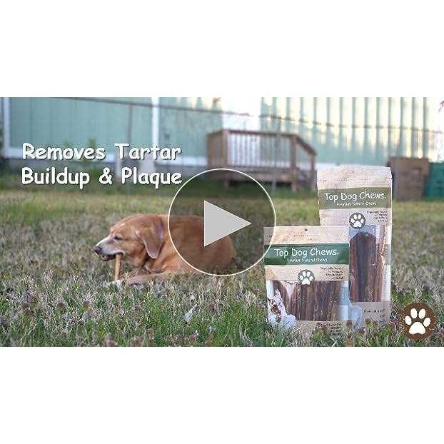 Top Dog Chews Bully Sticks Natural Beef - Pet Supplies online store