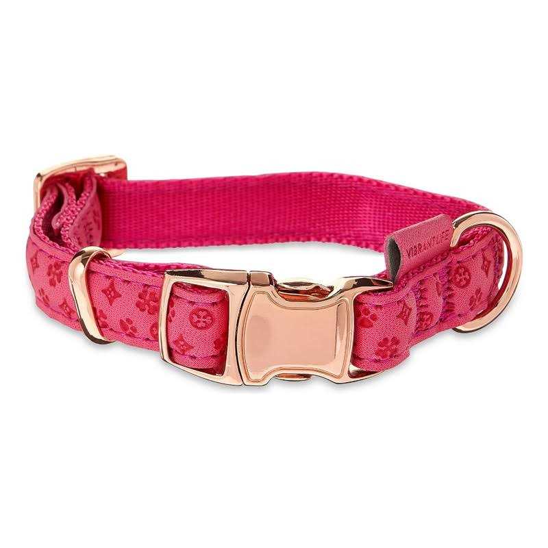 Vibrant Life Embossed Adjustable Dog Collar - Pet Supplies online store