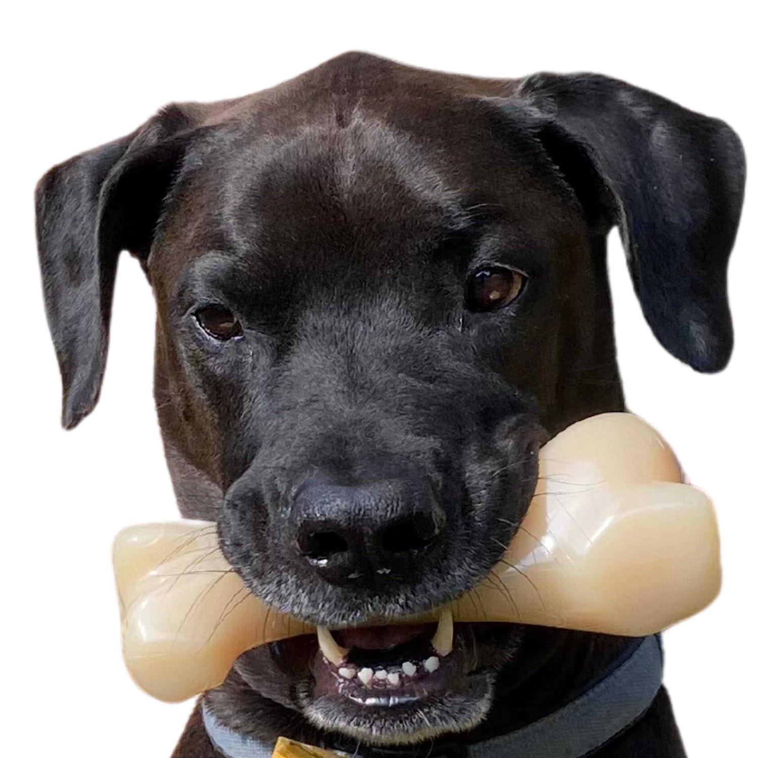 Nylabone Power Chew Big Chew Beef Bone - Pet Supplies online store