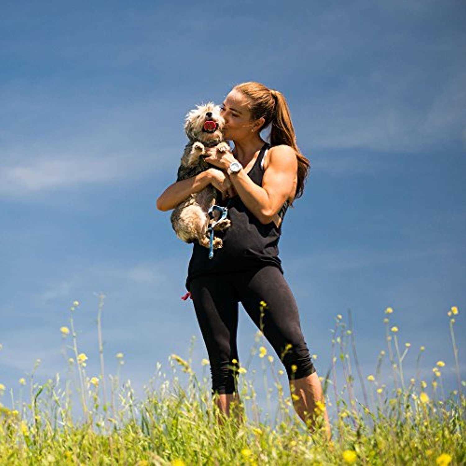 Nulo Freestyle Freeze-Dried Raw Beef with Apples Dog Food - Pet Supplies online store