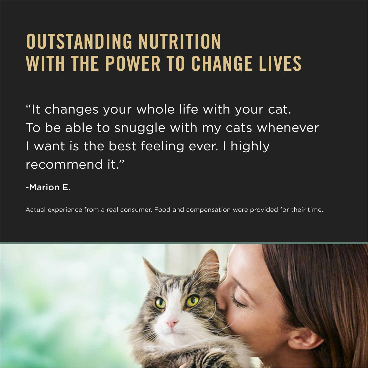 Purina Pro Plan LiveClear Dry Cat Food for Kittens Chicken & Rice Formula - Pet Supplies online store