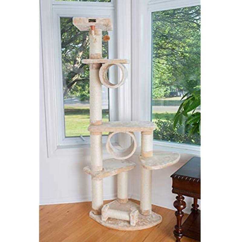 Dechra DermaLyte Shampoo - Pet Supplies online store