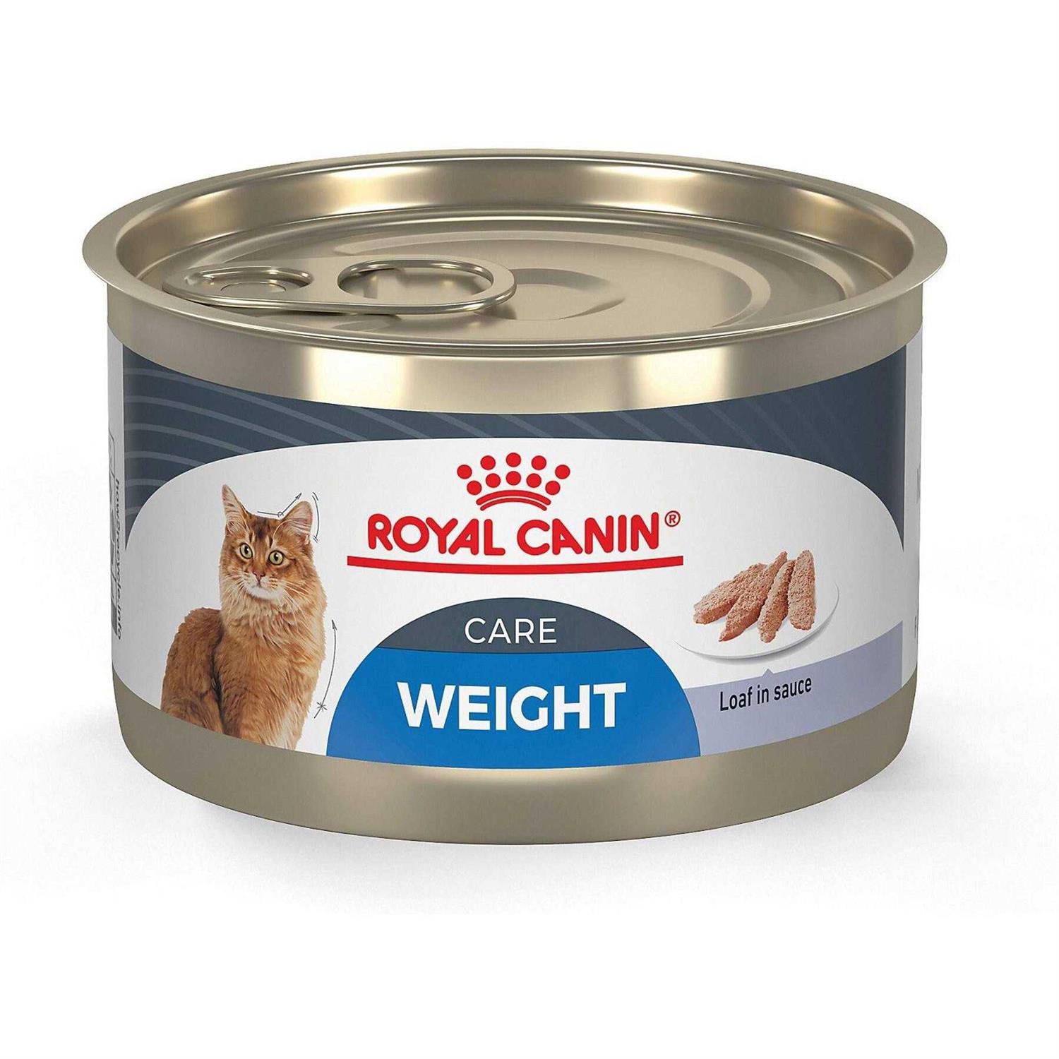 Royal Canin Loaf in Sauce Canned Cat Food - Pet Supplies online store