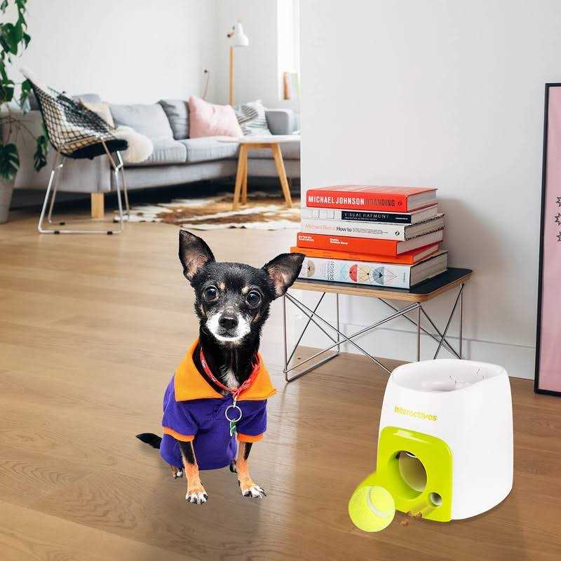 All for Paws Interactive Fetch-N-Treat Dog Toy - Pet Supplies online store