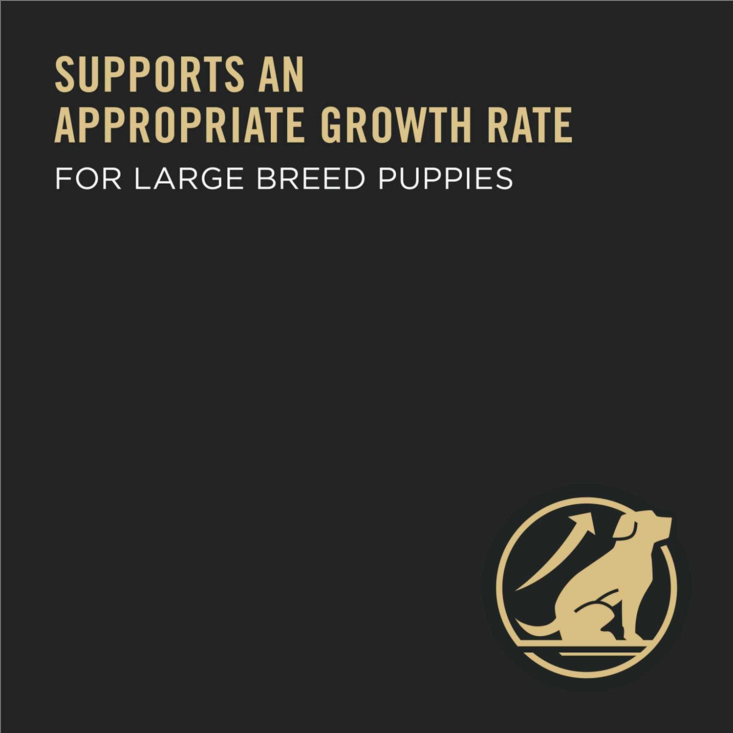 Purina Pro Plan Chicken & Rice Formula Large Breed Dry Puppy Food - Pet Supplies online store