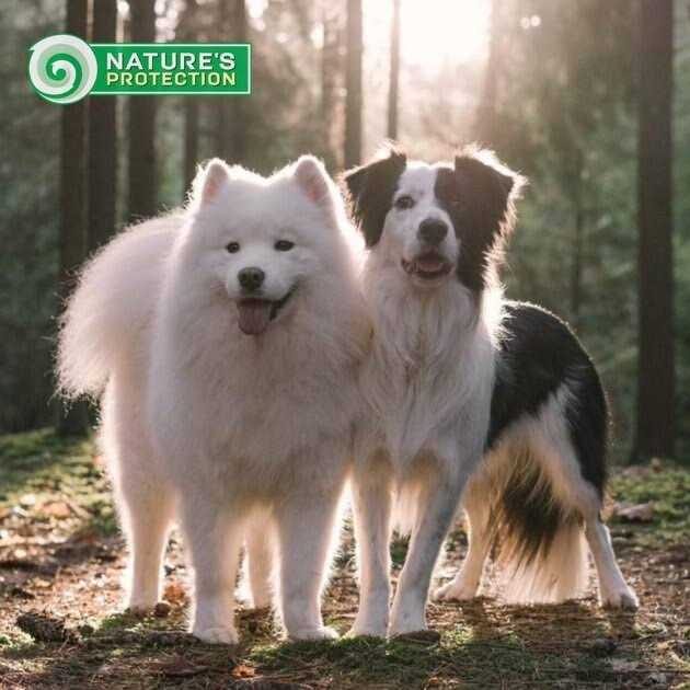 Nature's Protection Grain Free Superior Care White Dogs Small Breed Adult Dry Dog Food - Pet Supplies online store