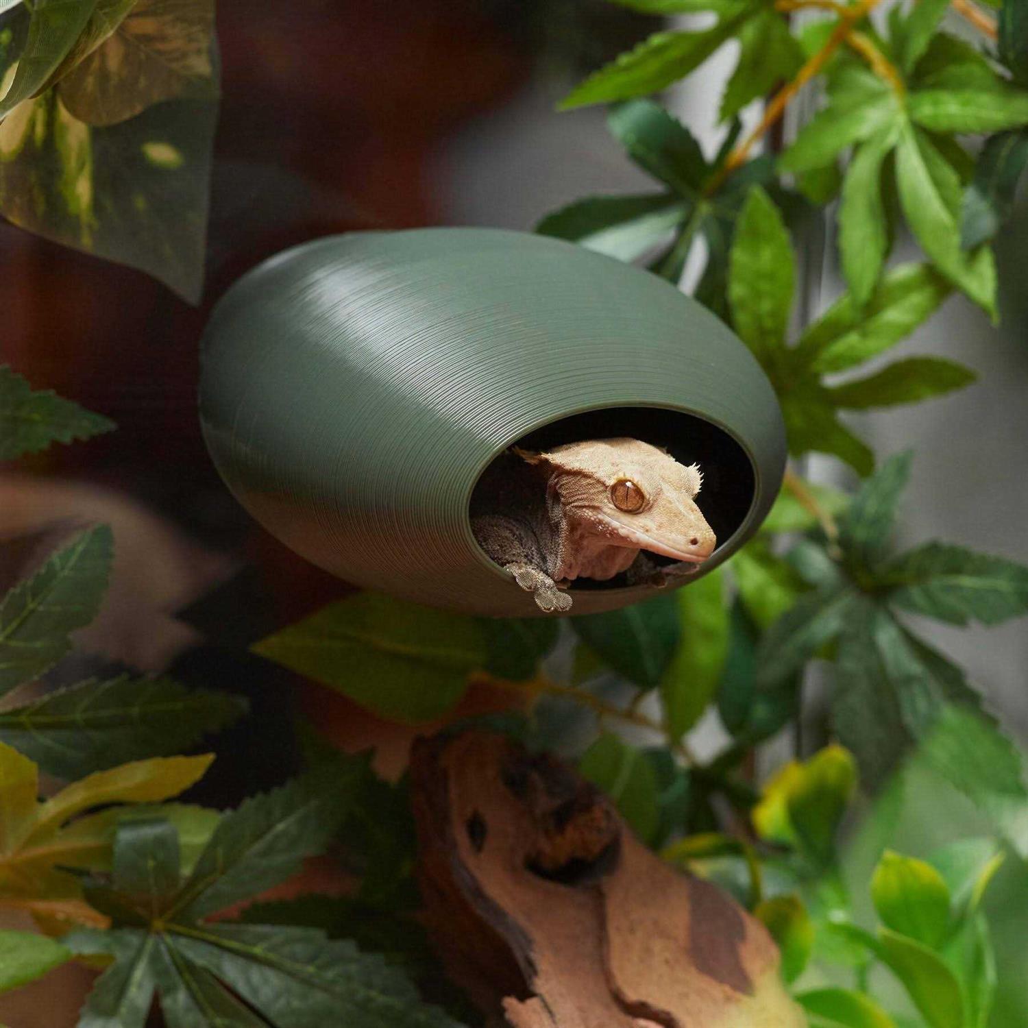 Stroodies BubbleLoft Gecko Hideout - Pet Supplies online store