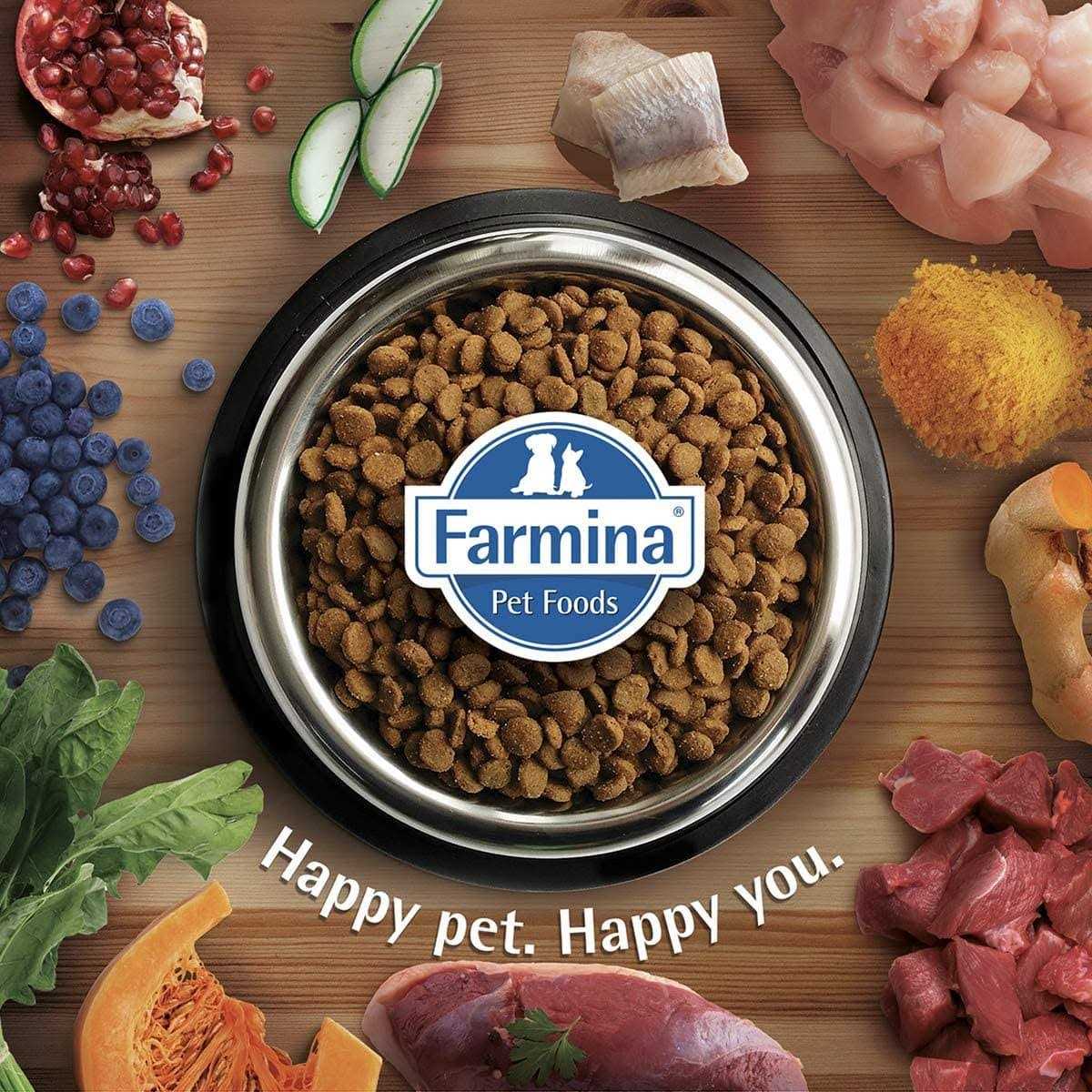 Farmina N&D Prime Feline Adult - Pet Supplies online store