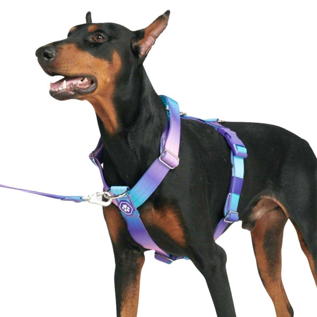 Spark Paws No-Pull Dog Harness Designed for Safety and Control - Pet Supplies online store