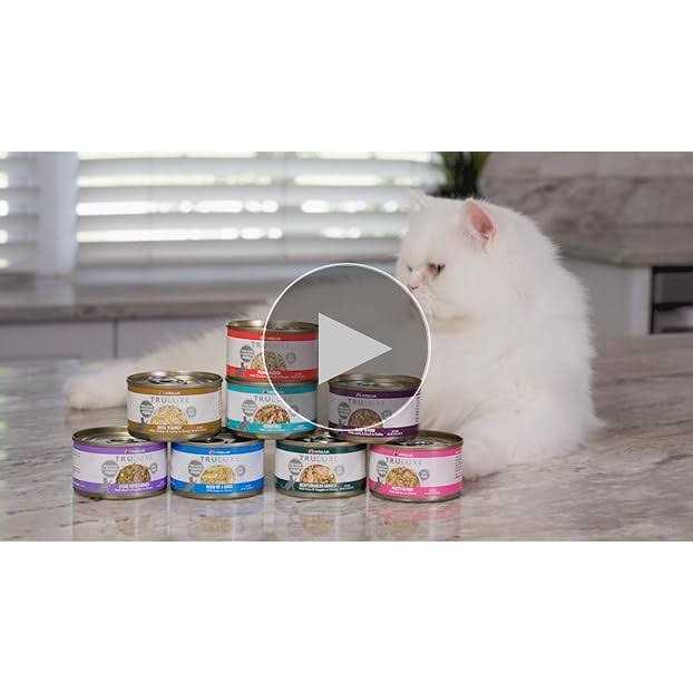 Weruva TruLuxe Steak Frites Beef & Pumpkin Canned Cat Food - Pet Supplies online store