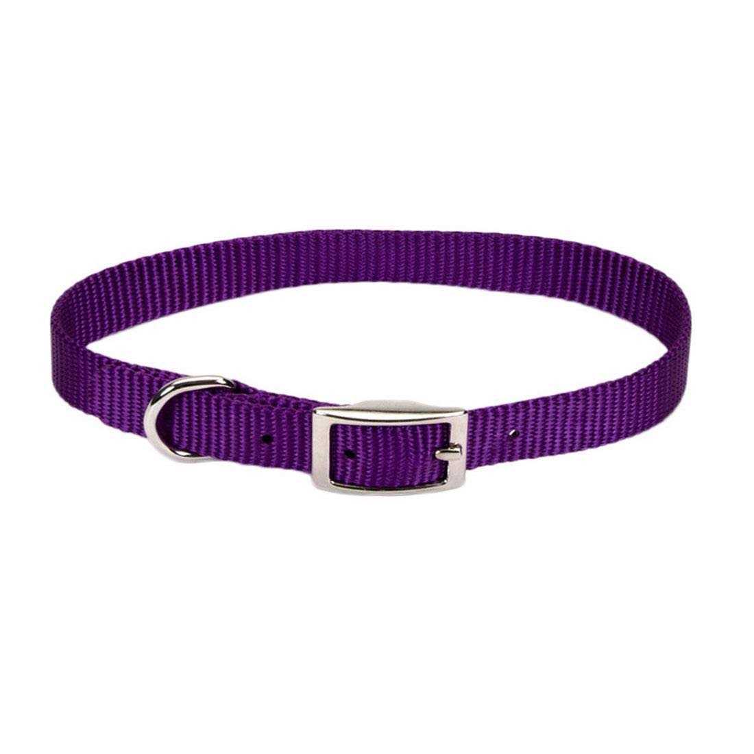 Coastal Nylon Pet Collar - Pet Supplies online store