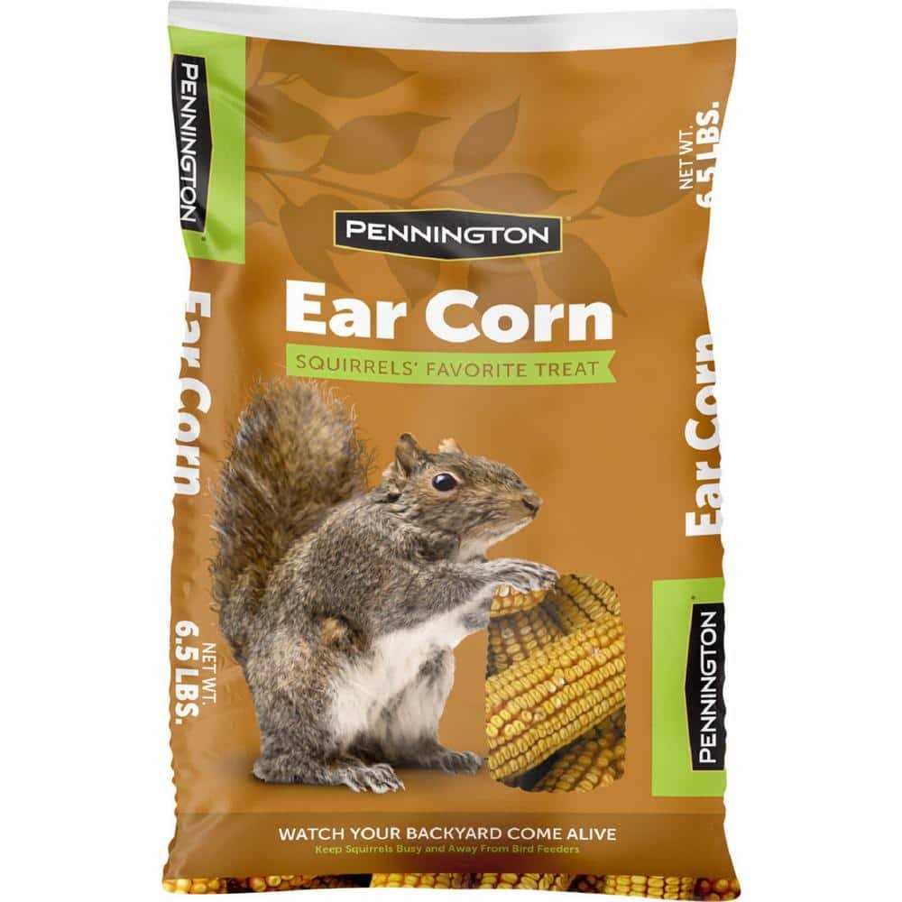 6.5 Lbs. Squirrels Ear Corn Cobs - Pet Supplies online store