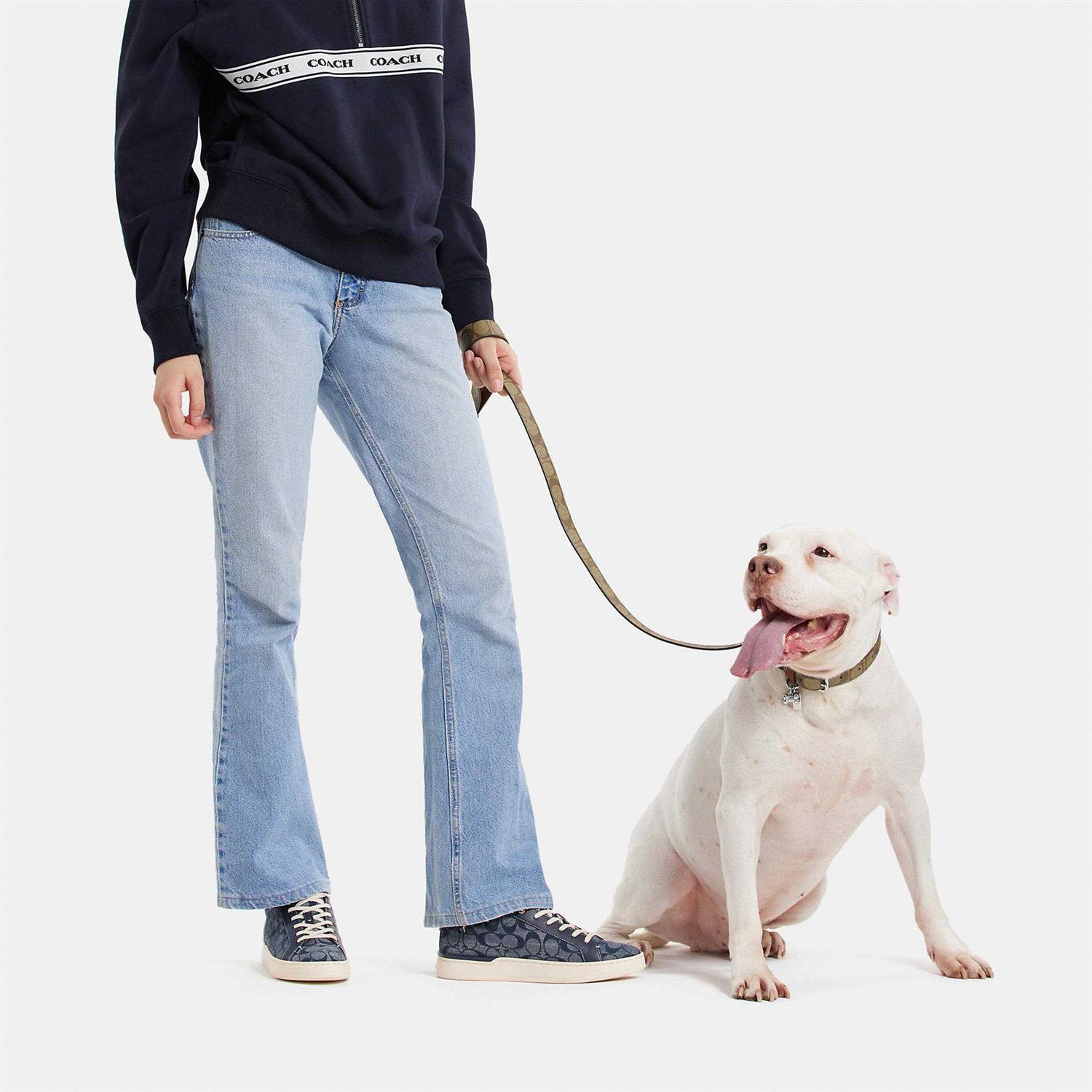 Coach Outlet Boxed Pet Leash In Signature Canvas - Pet Supplies online store