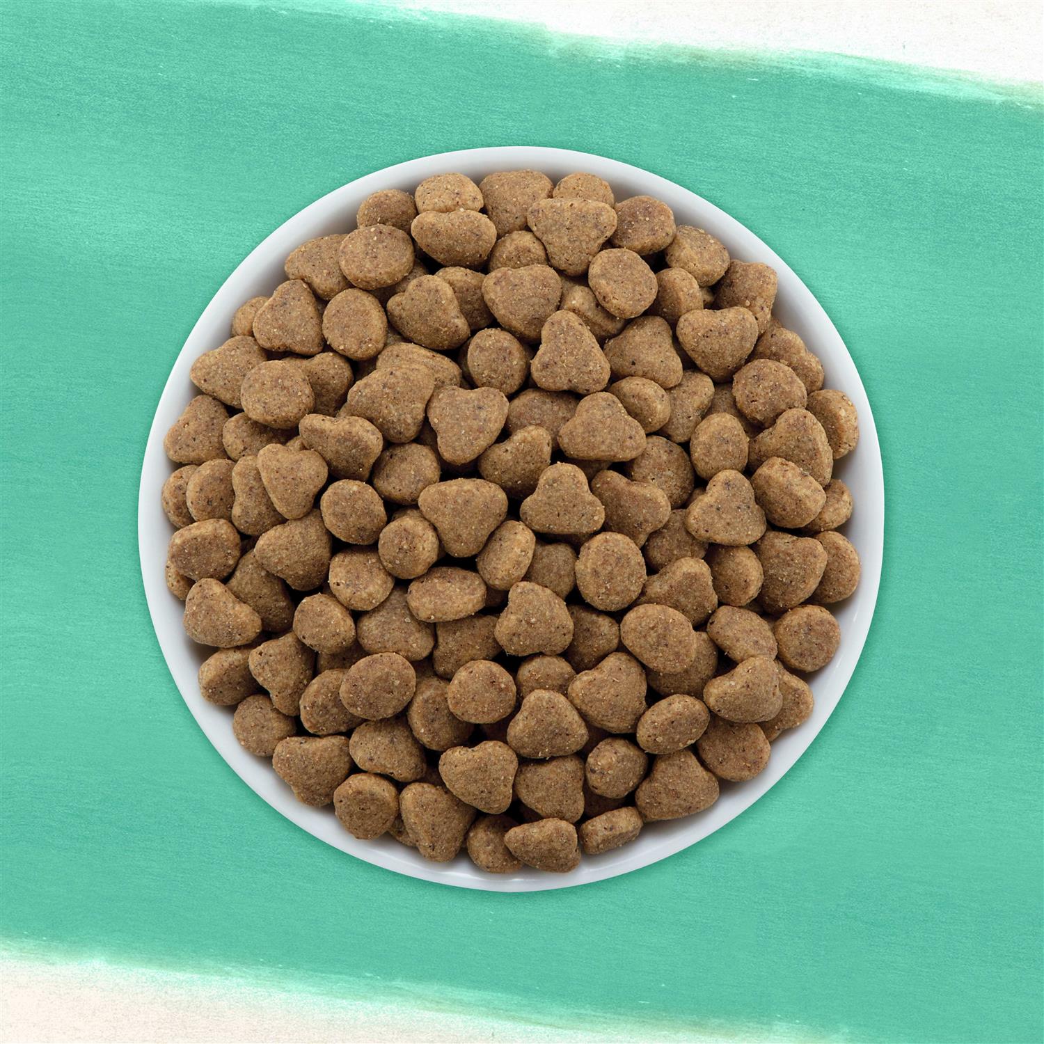 Purina Beyond Grain Free Dry Cat Food - Pet Supplies online store