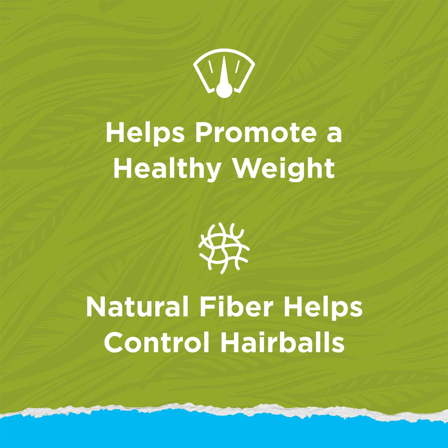 Purina Cat Chow Naturals Indoor Dry Cat Food - Pet Supplies online store