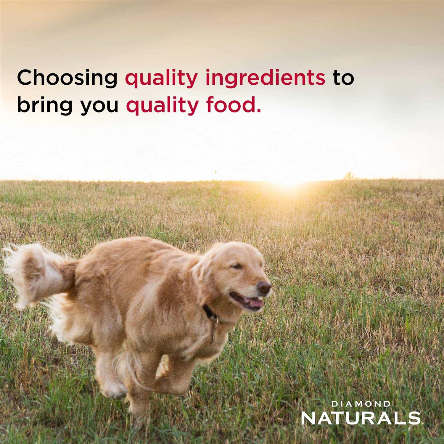 Diamond Dog Food Naturals Chicken & Rice - Pet Supplies online store