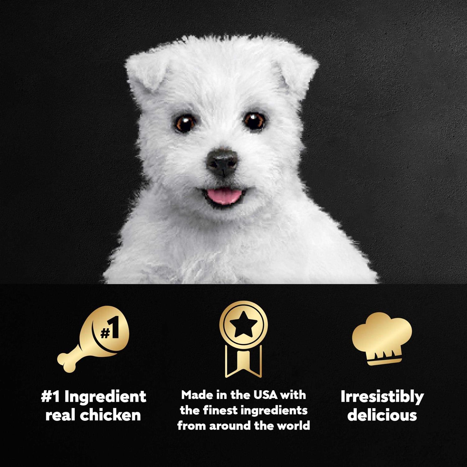Cesar Classic Loaf in Sauce Wet Dog Food Chicken & Beef Recipe Puppy - Pet Supplies online store