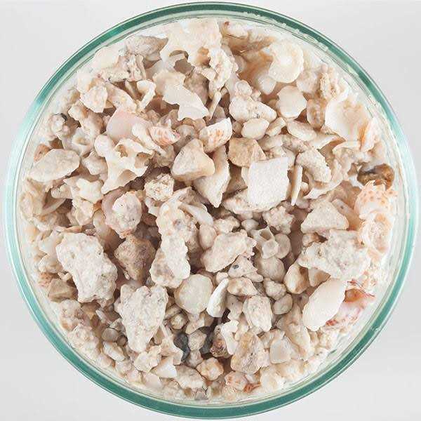 CaribSea Geo-Marine Florida Crushed Coral - Pet Supplies online store