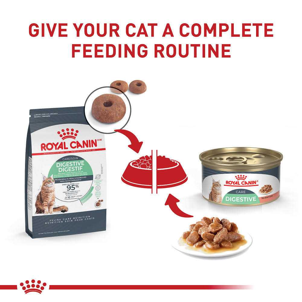 Royal Canin Feline Nutrition Digestive Sensitive Thin Slices in Gravy Canned Cat Food 3-oz - Pet Supplies online store