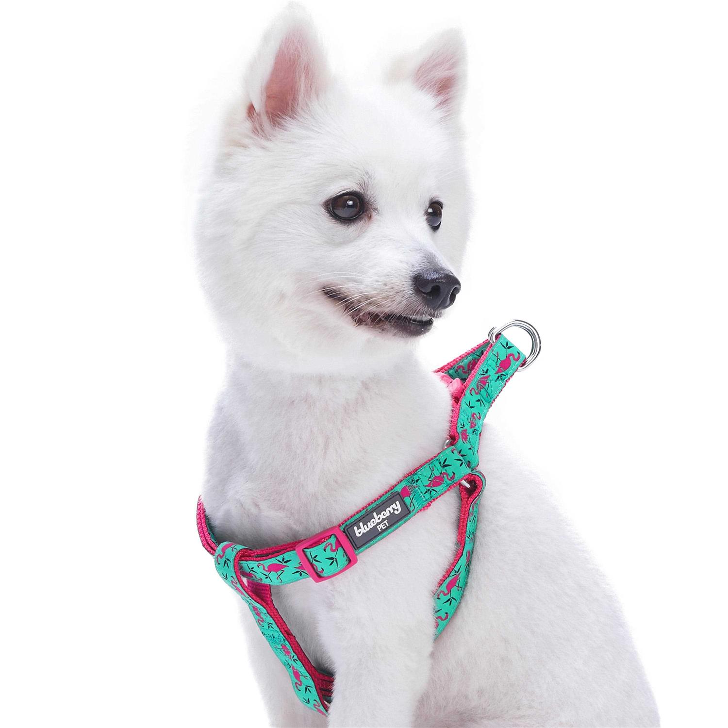Blueberry Pet Step Dog Harness - Pet Supplies online store