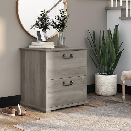 Bush Furniture Homestead Farmhouse 2 Drawer Accent Cabinet, Driftwood Gray