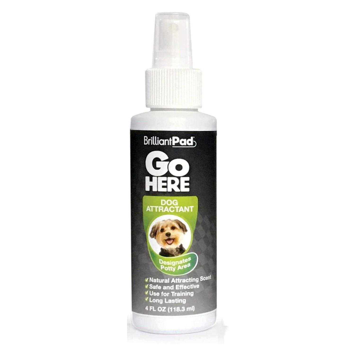 Brilliantpad 'Go Here!' Dog Potty Attractant Spray - Pet Supplies online store