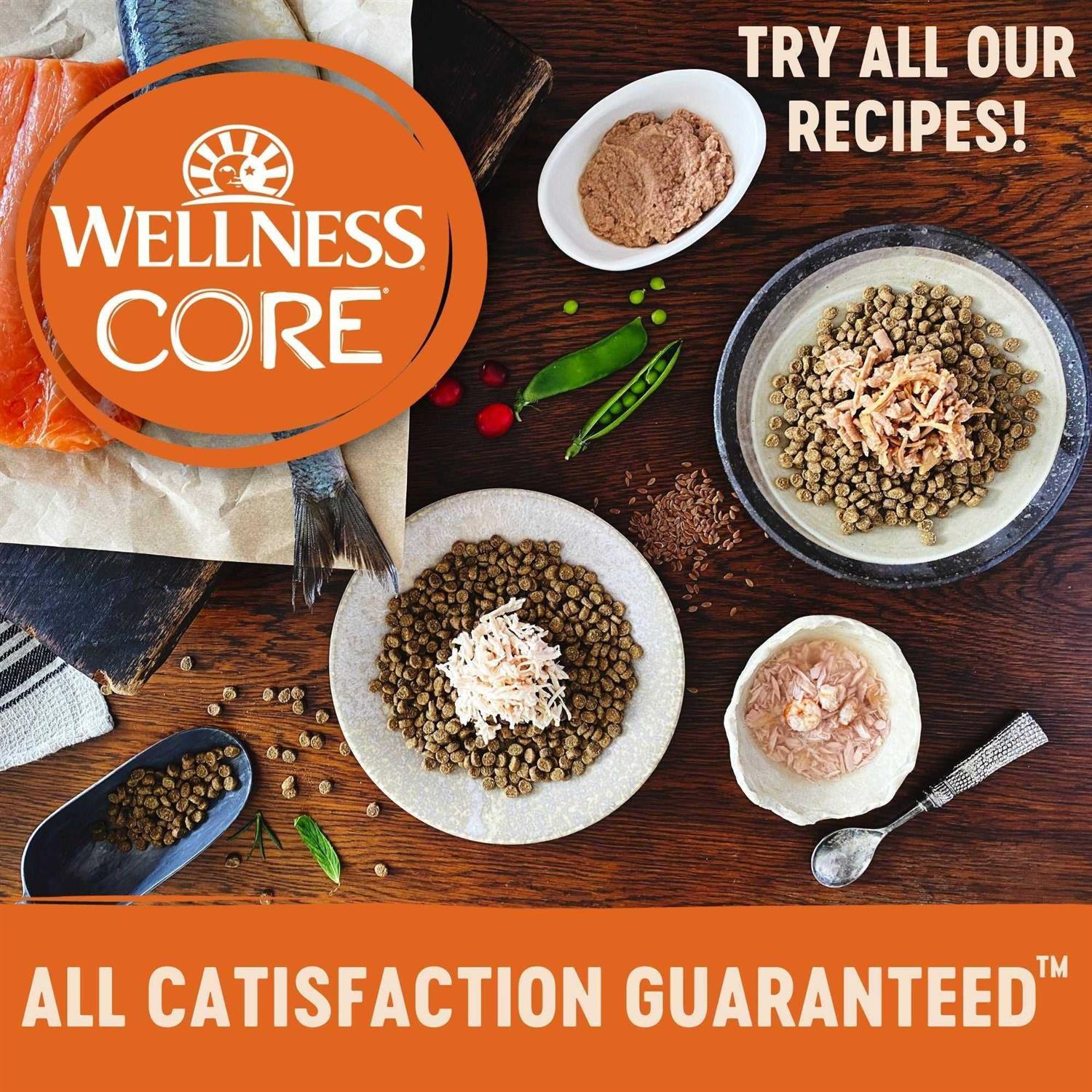 Wellness CORE Signature Selects Seafood Selection Cat Food Variety Pack - Pet Supplies online store