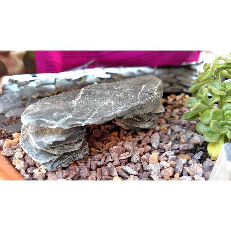 Small World Slate & Stone Natural Slate Stone -1 to 3 Inch Rocks for Miniature Or Fairy Garden - Pet Supplies online store