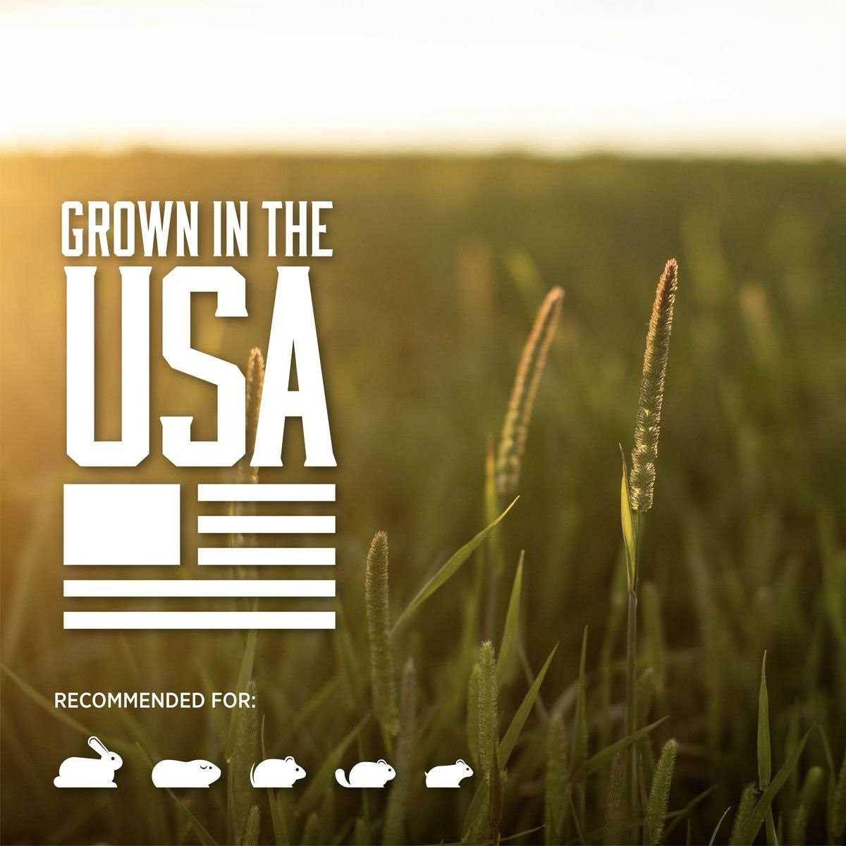 Standlee PremiYum Western Timothy Hay Small Animal Food - Pet Supplies online store