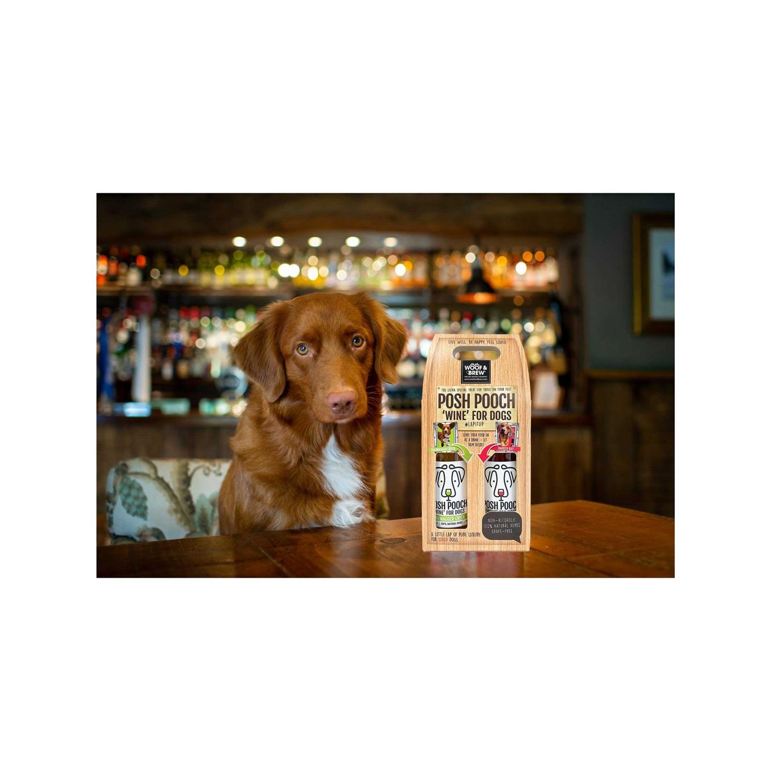 American Pet Supplies Posh Pooch Dog Wine Duo Pack - Pet Supplies online store