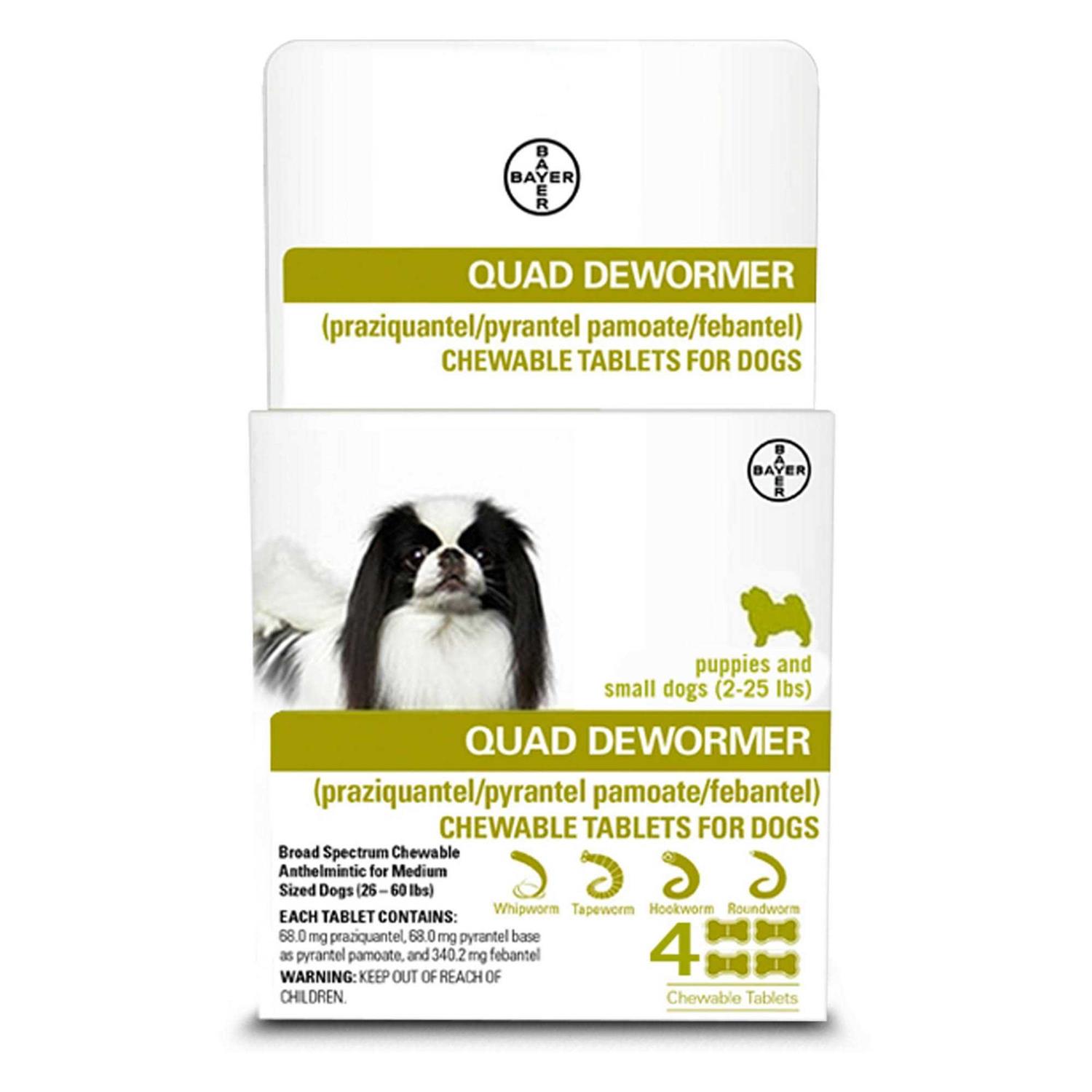 Bayer Quad Dewormer for Small Dogs - Pet Supplies online store