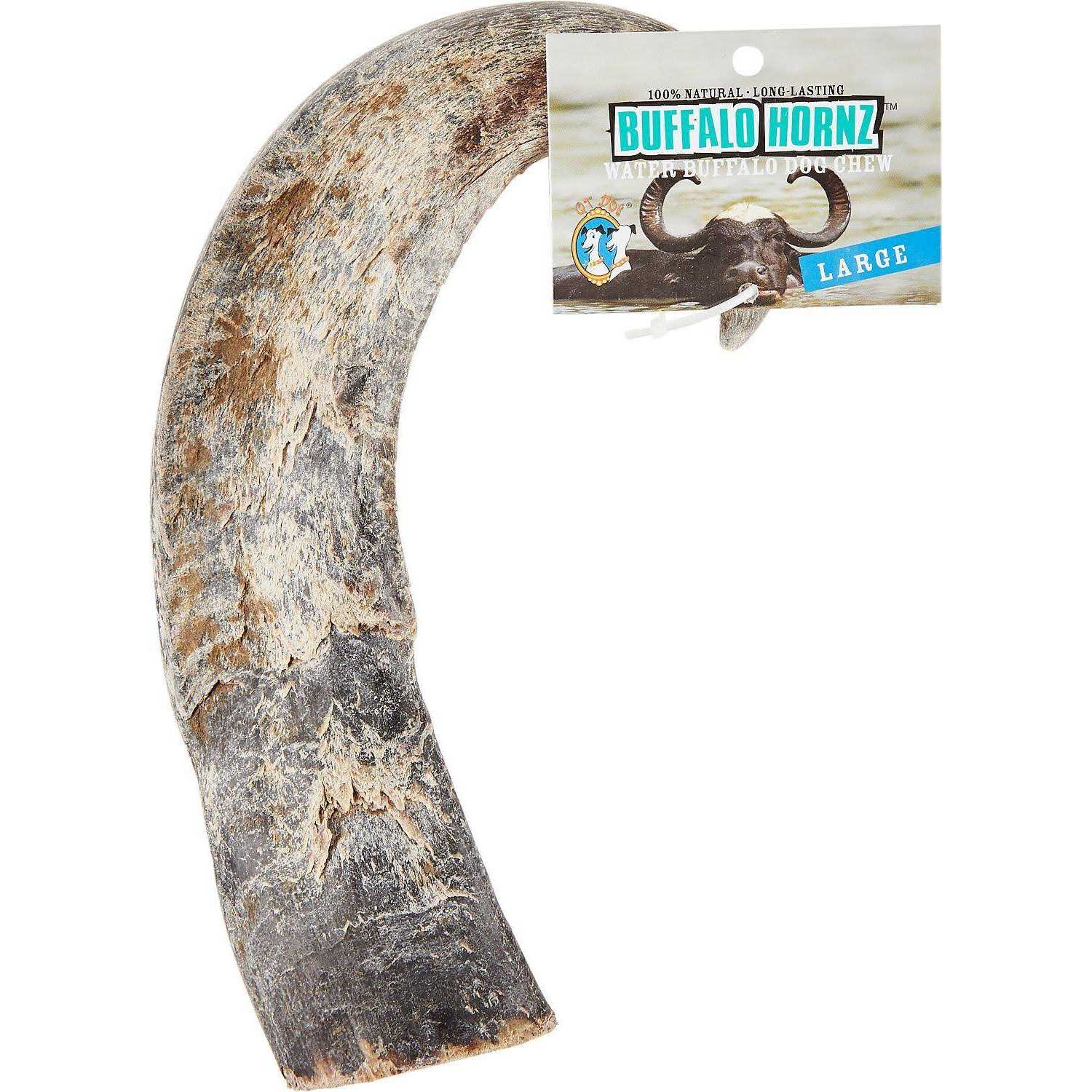 QT Dog Water Buffalo Horn Small - Pet Supplies online store