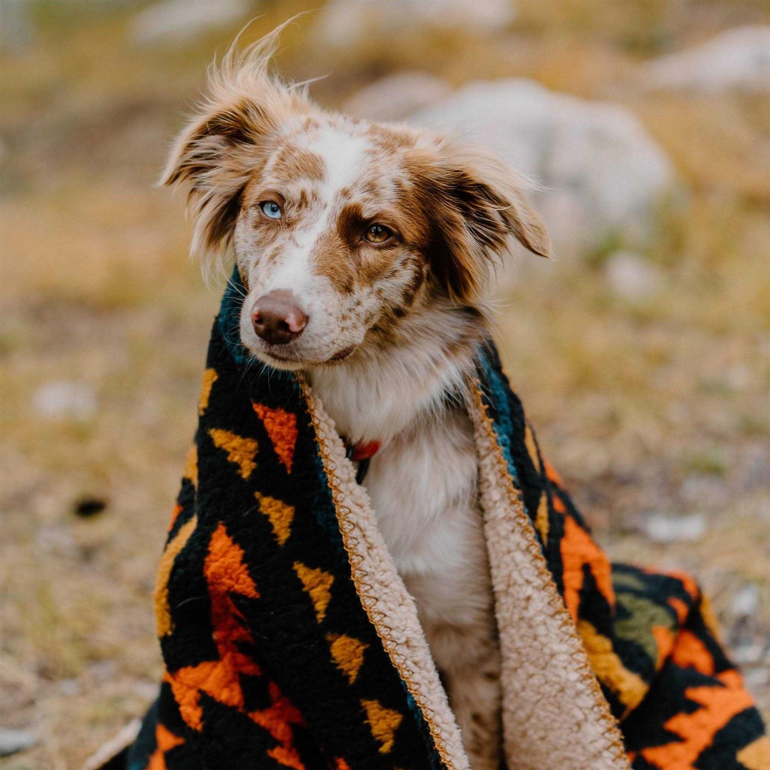 Wilderdog Sherpa Fleece Waterproof Blanket - Pet Supplies online store