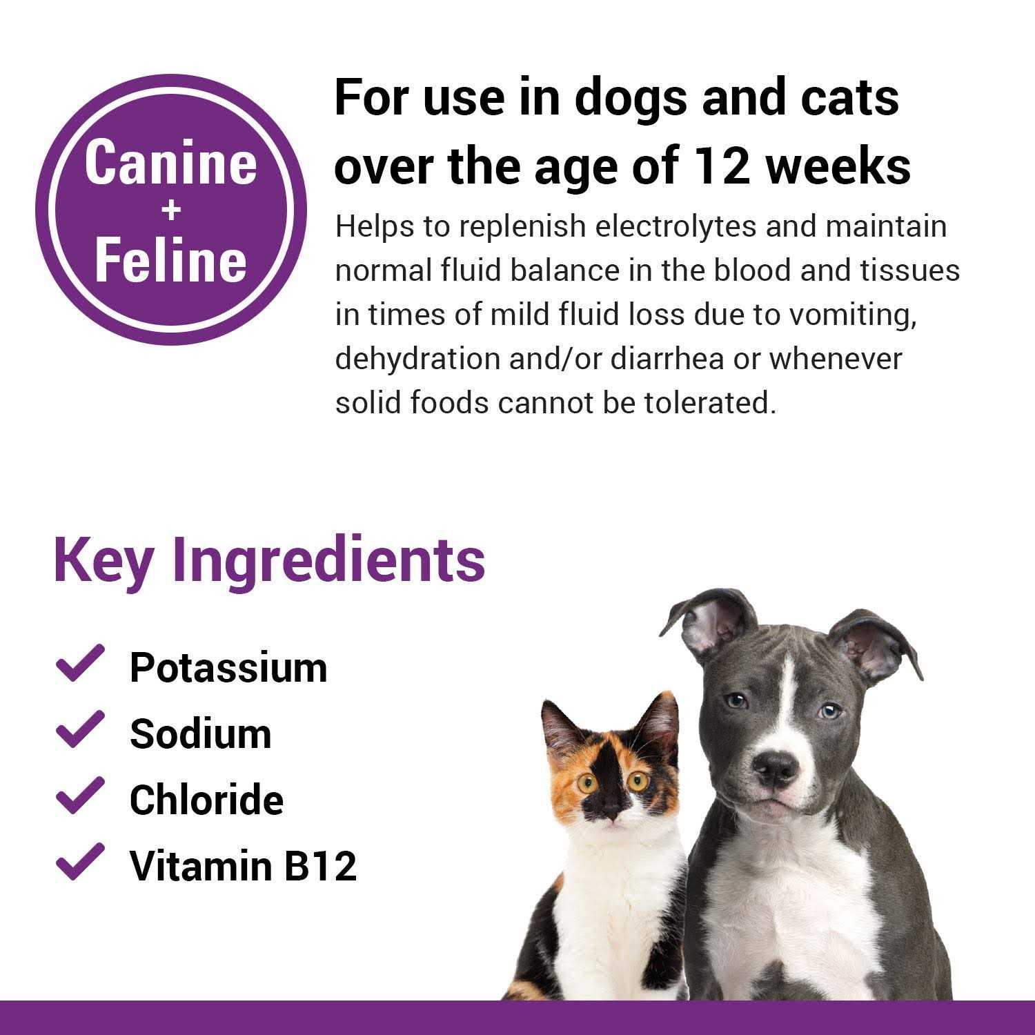 Vet Classics Pet-A-Lyte Oral Electrolyte Solution - Pet Supplies online store