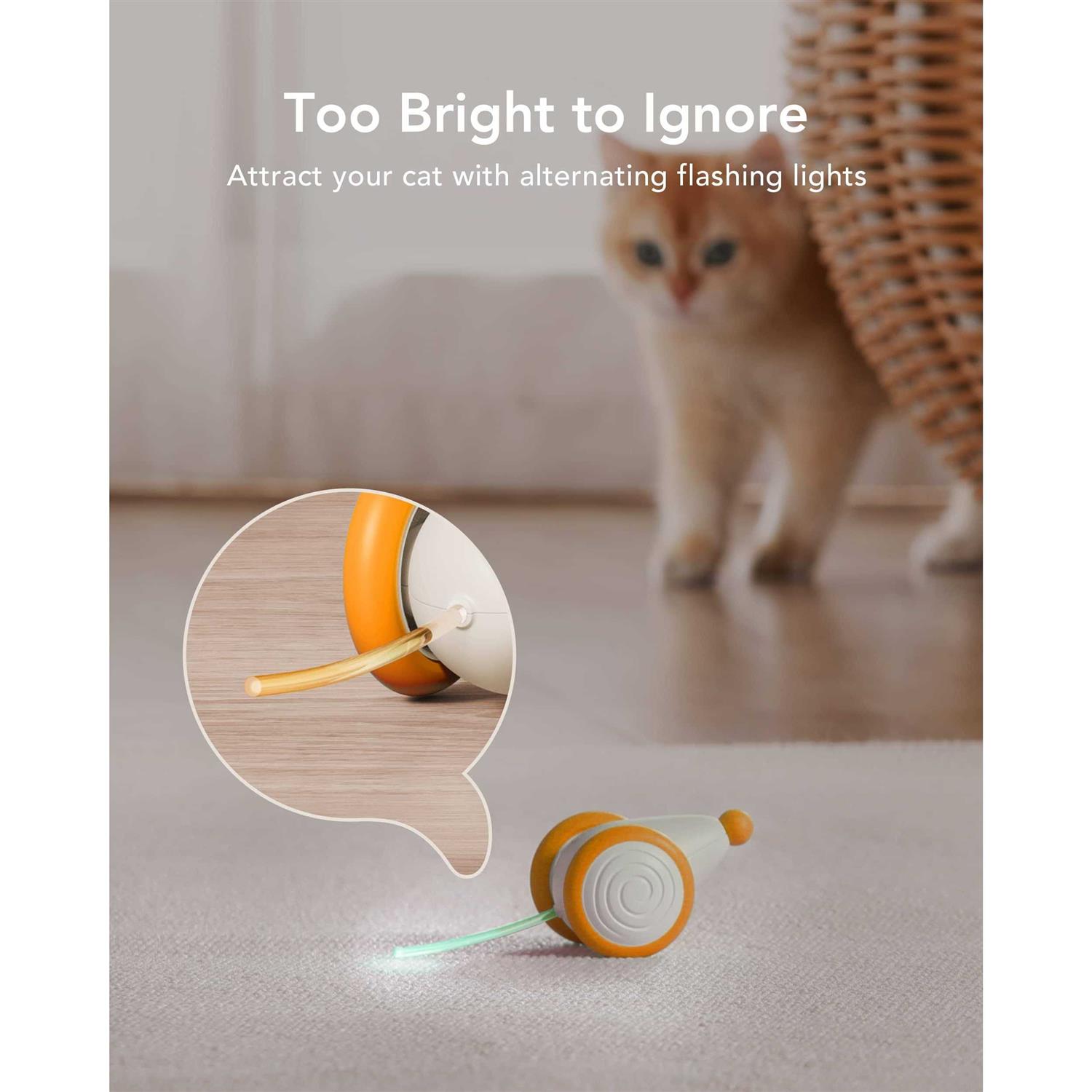 PETLIBRO Interactive Cat Toys for Indoor Cats Automatic Cat toy with LED Lights - Pet Supplies online store