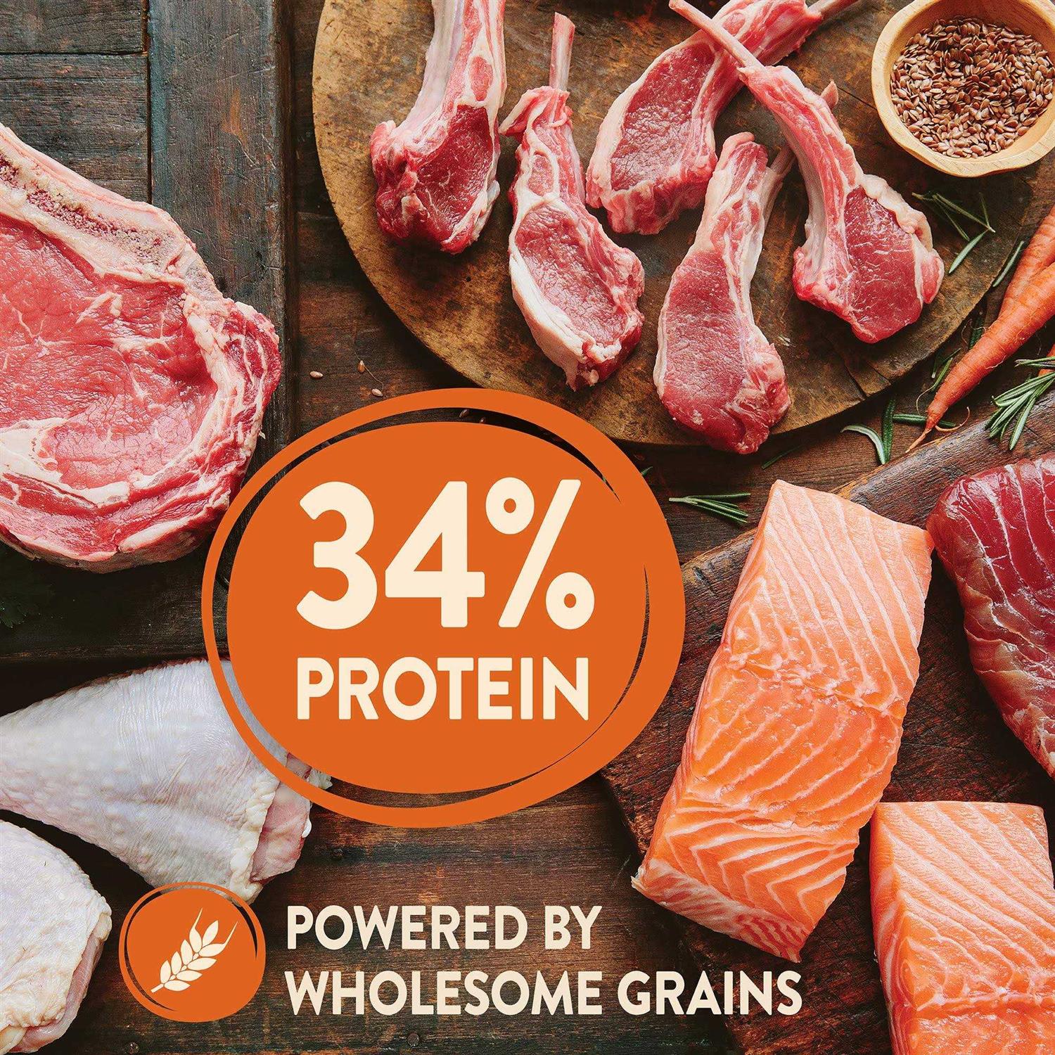 Wellness CORE High Protein Wholesome Grains Ocean Recipe Dry Dog Food - Pet Supplies online store