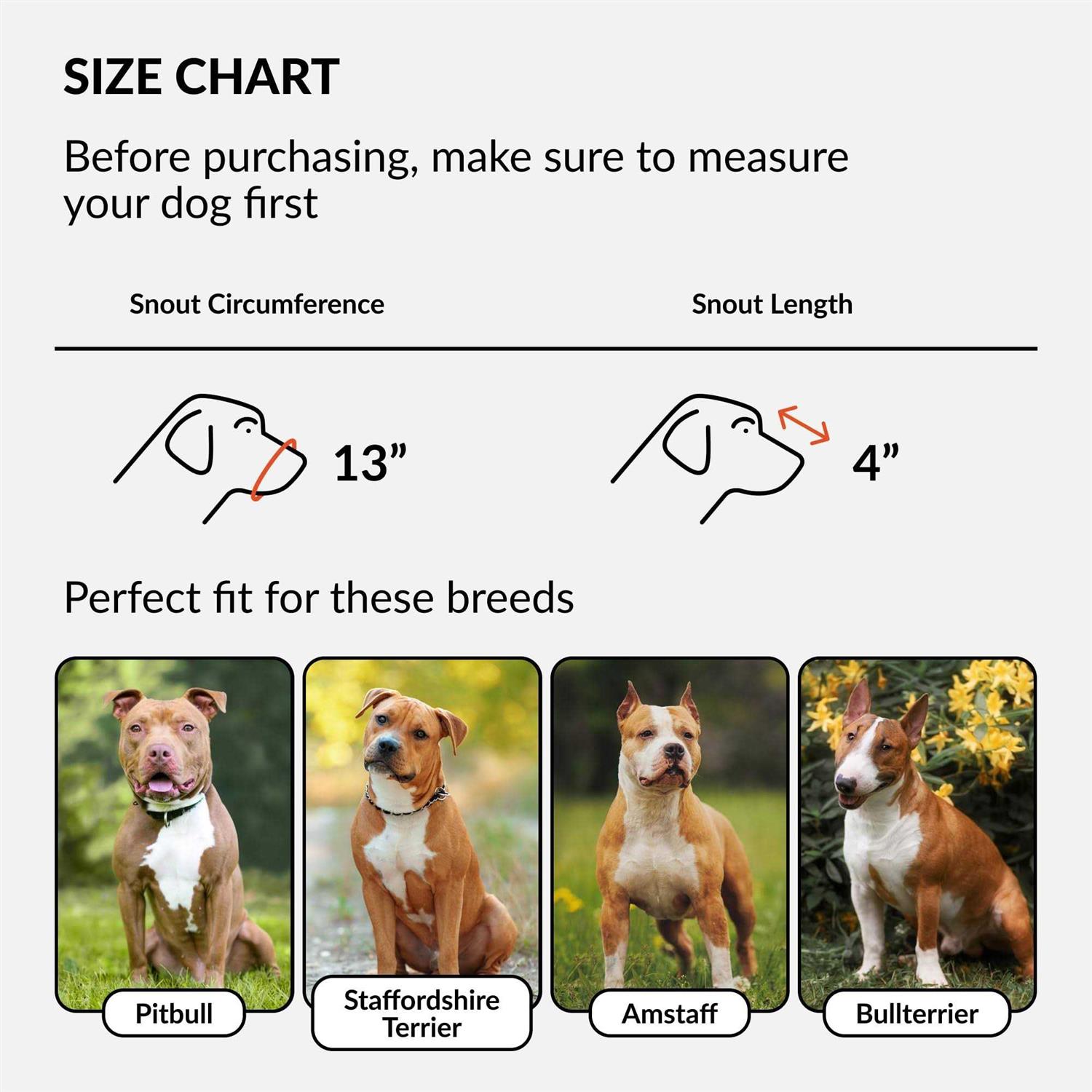 CollarDirect Dog Muzzle Pitbull Amstaff Basket Genuine Leather Staffordshire Terrier - Pet Supplies online store