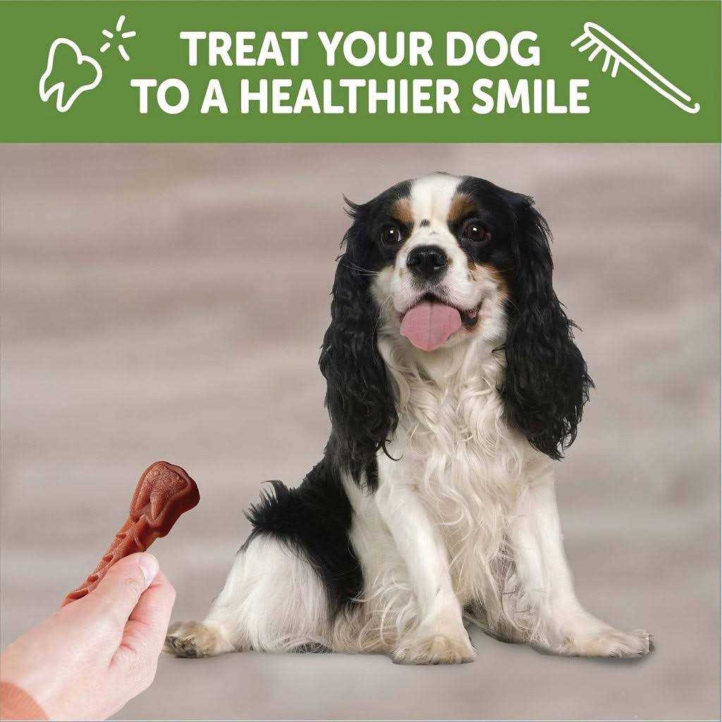 Whimzees Brushzees Dental Treats - Pet Supplies online store