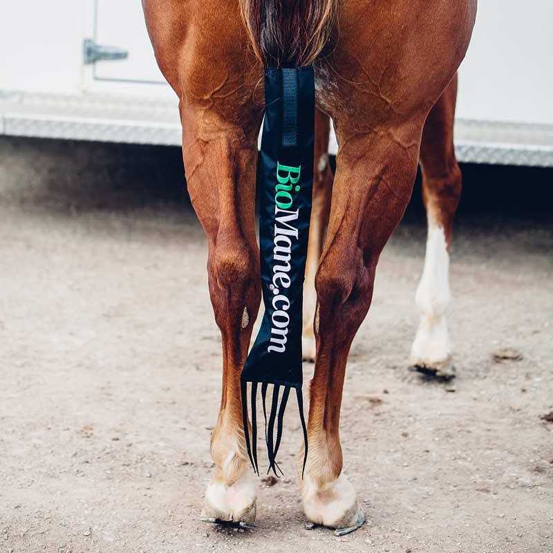 BioMane Tailbag Protect Your Horse's Tail - Pet Supplies online store