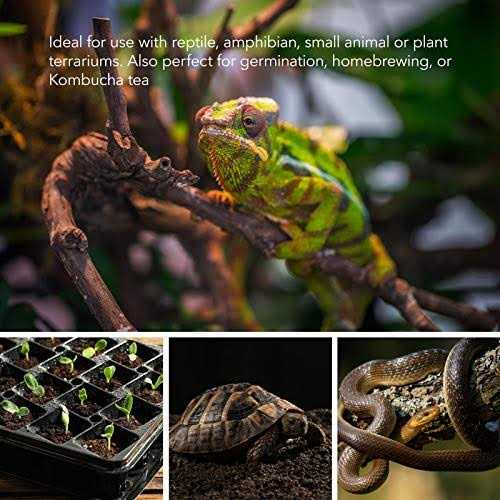 BN-LINK Durable Reptile Heating Pad 8 X Digital Thermostat Under Tank Heater Terrarium Warmer Combo Set for Turtles - Pet Supplies online store