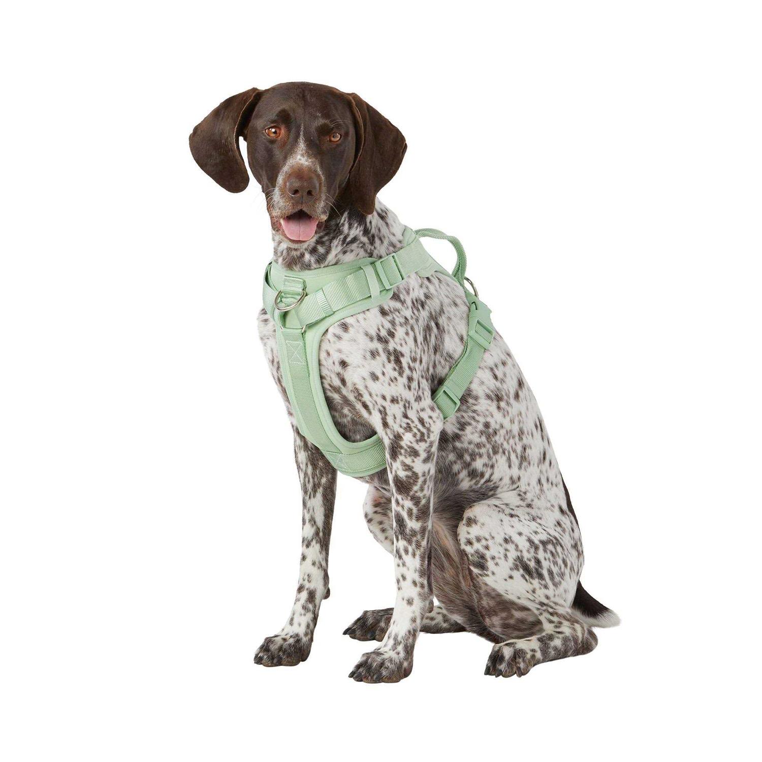 Top Paw Core Fashion Adjustable Comfort Dog Harness - Pet Supplies online store