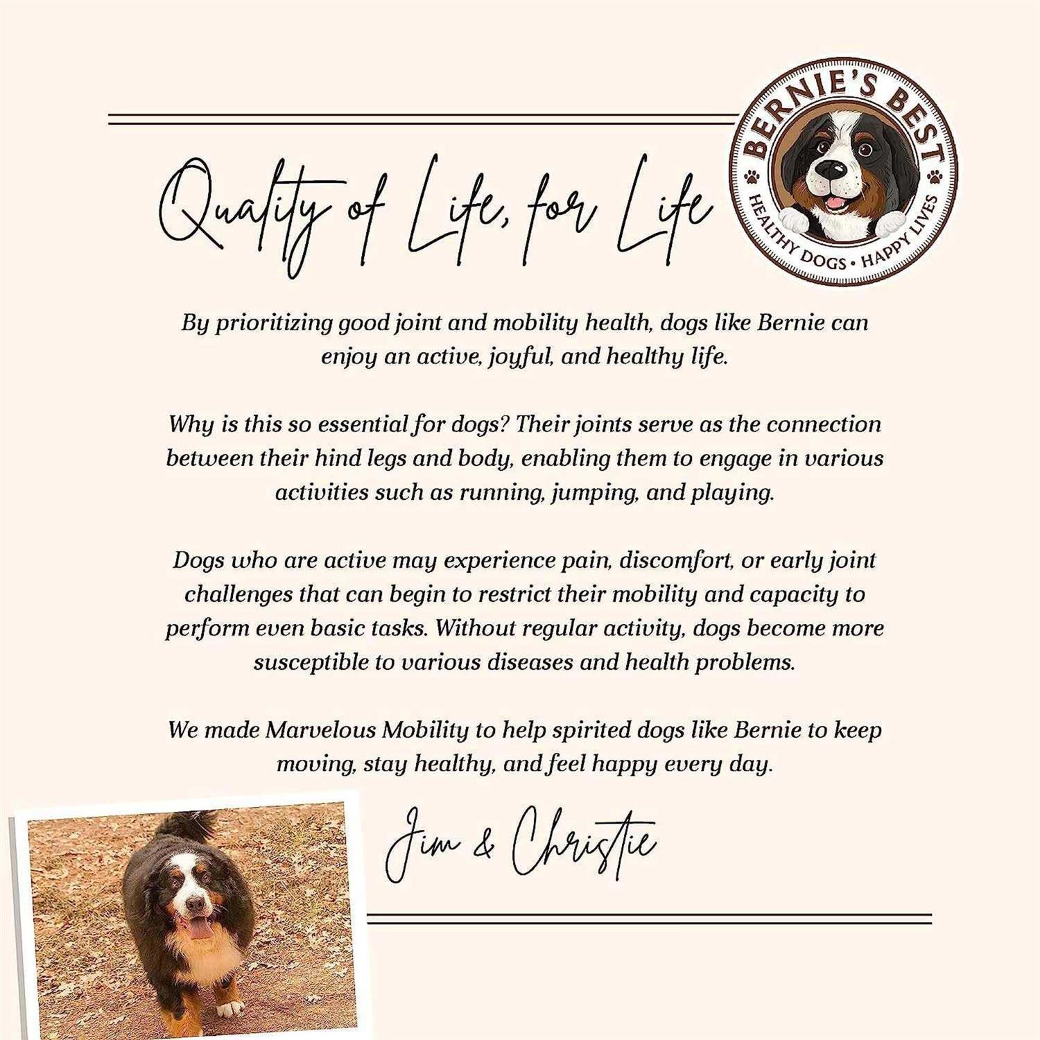 Bernie's Marvelous Mobility Daily Hip & Joint Supplement - Pet Supplies online store