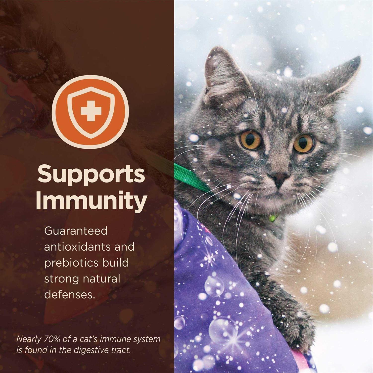 Wellness CORE Digestive Health Salmon & Whitefish Pate Variety Pack Wet Cat Food - Pet Supplies online store