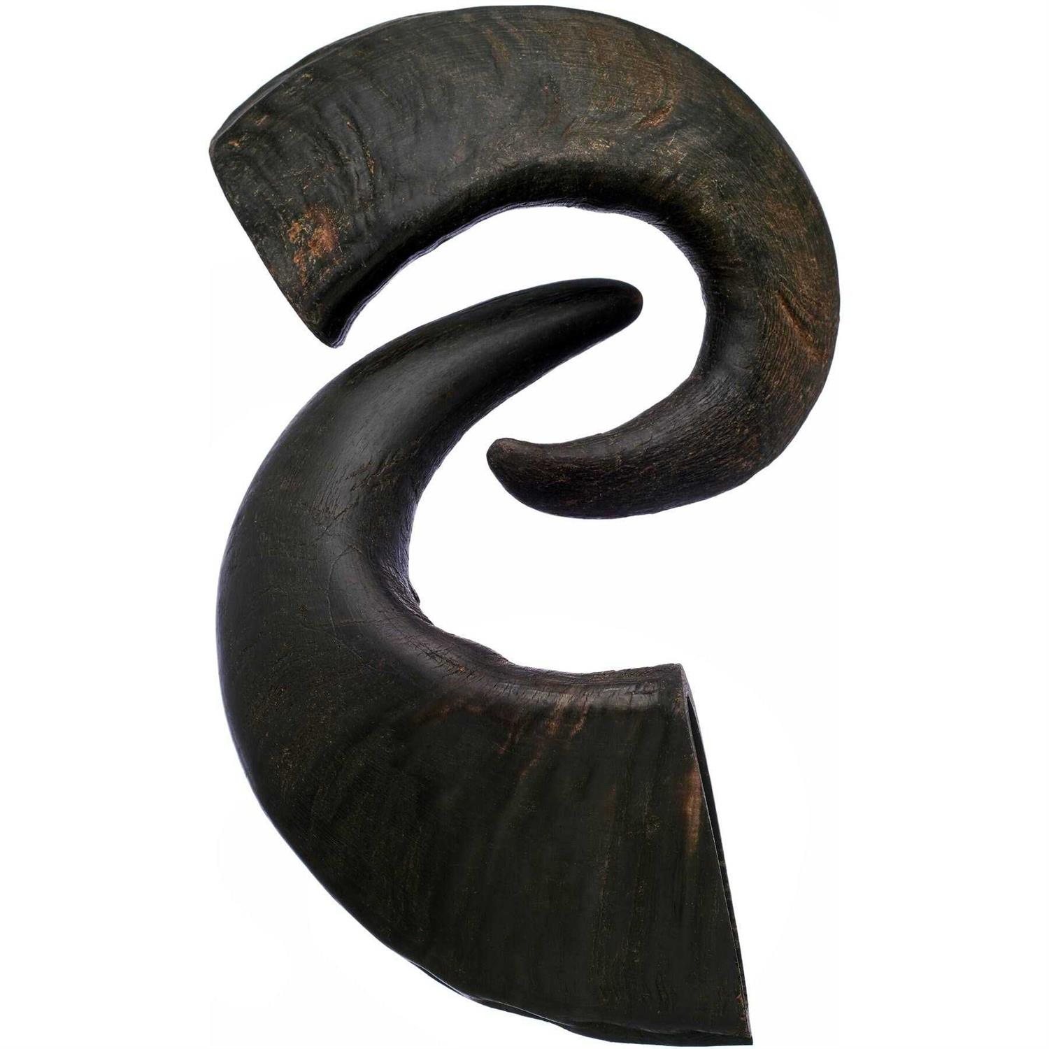 Bones & Chews Water Buffalo Horn Dog Treat - Pet Supplies online store