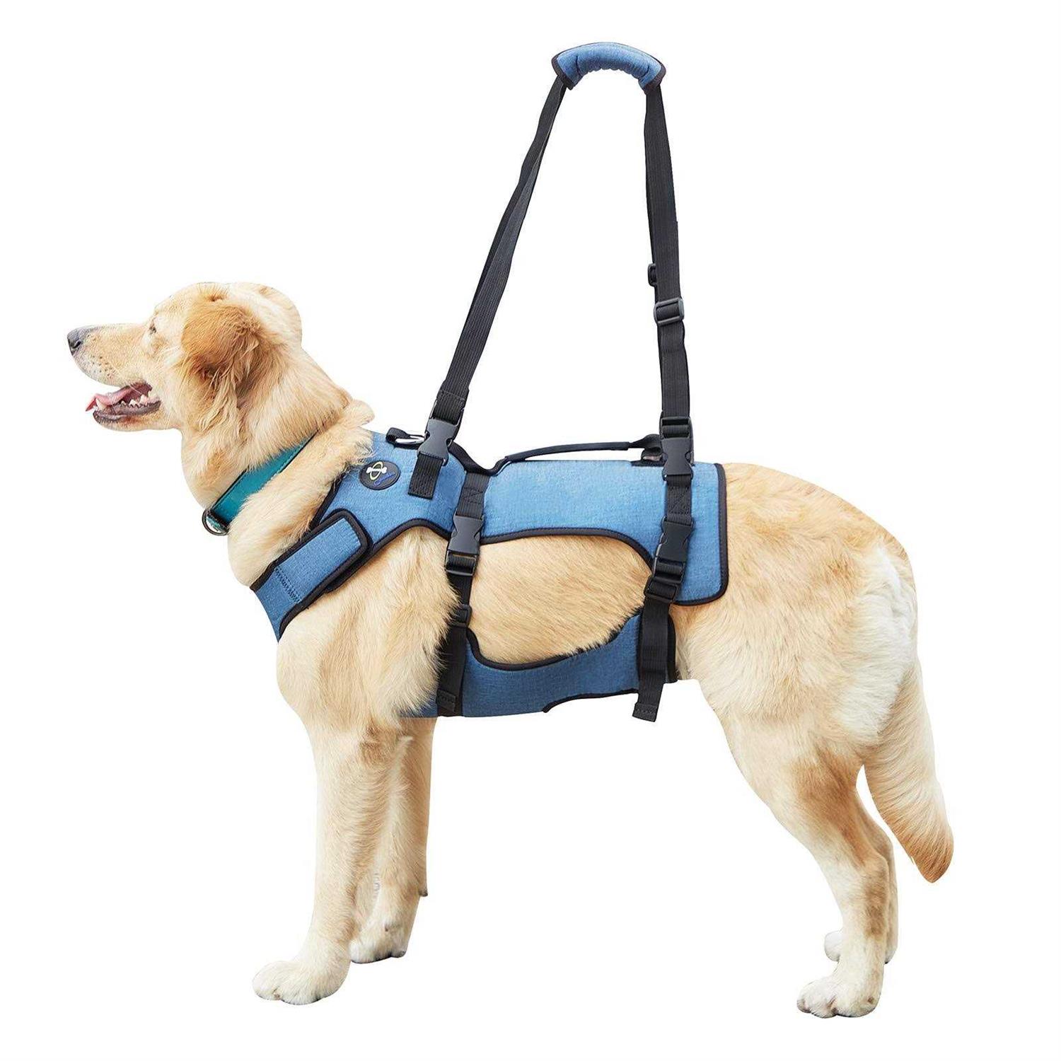 Coodeo Dog Lift Harness Support & Recovery Sling Pet Rehabilitation Lifts Vest Adjustable Breathable Straps for Old - Pet Supplies online store