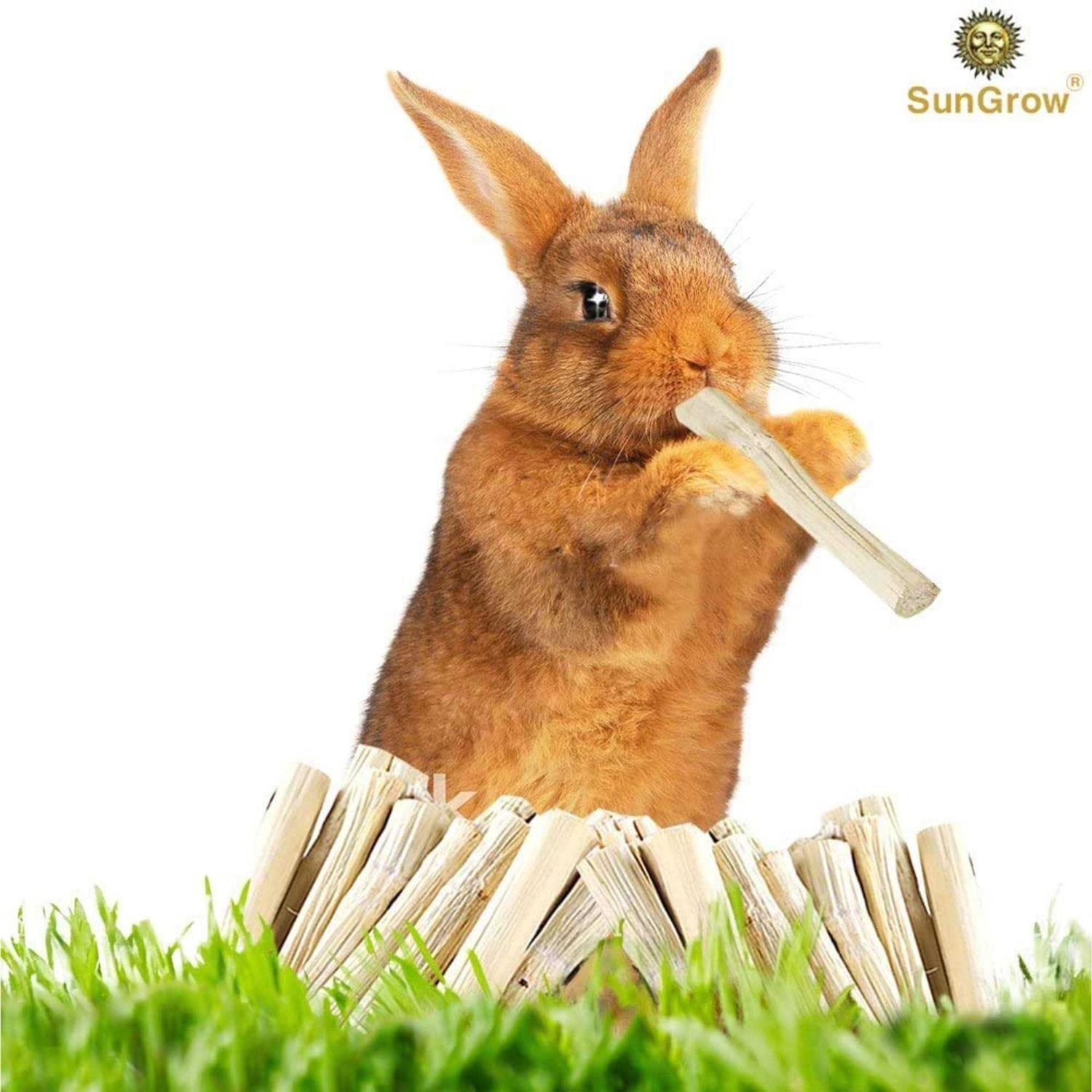 SunGrow Sweet Bamboo Chew Sticks Small-Pet Dental Treats & Snacks - Pet Supplies online store