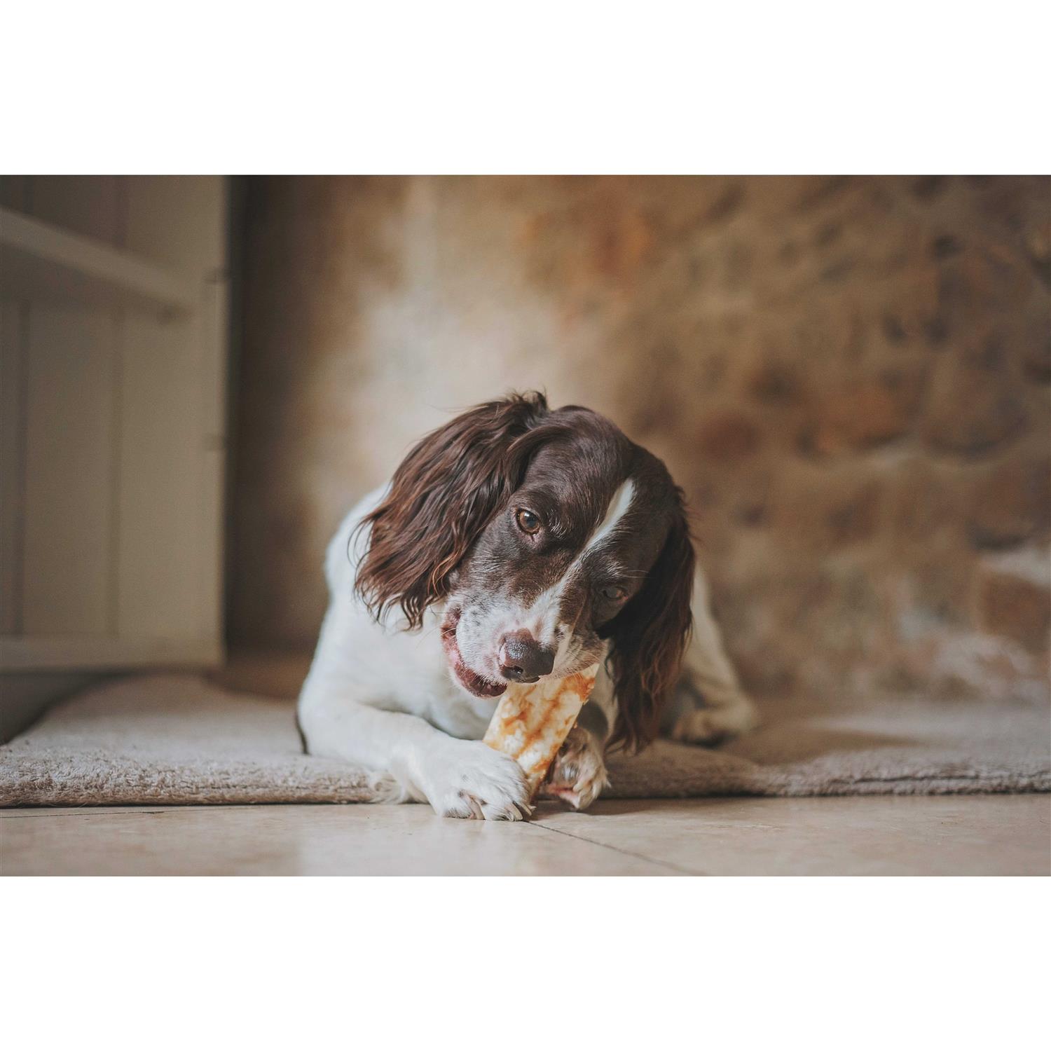 Earth Animal No Hide Peanut Butter - Pet Supplies online store